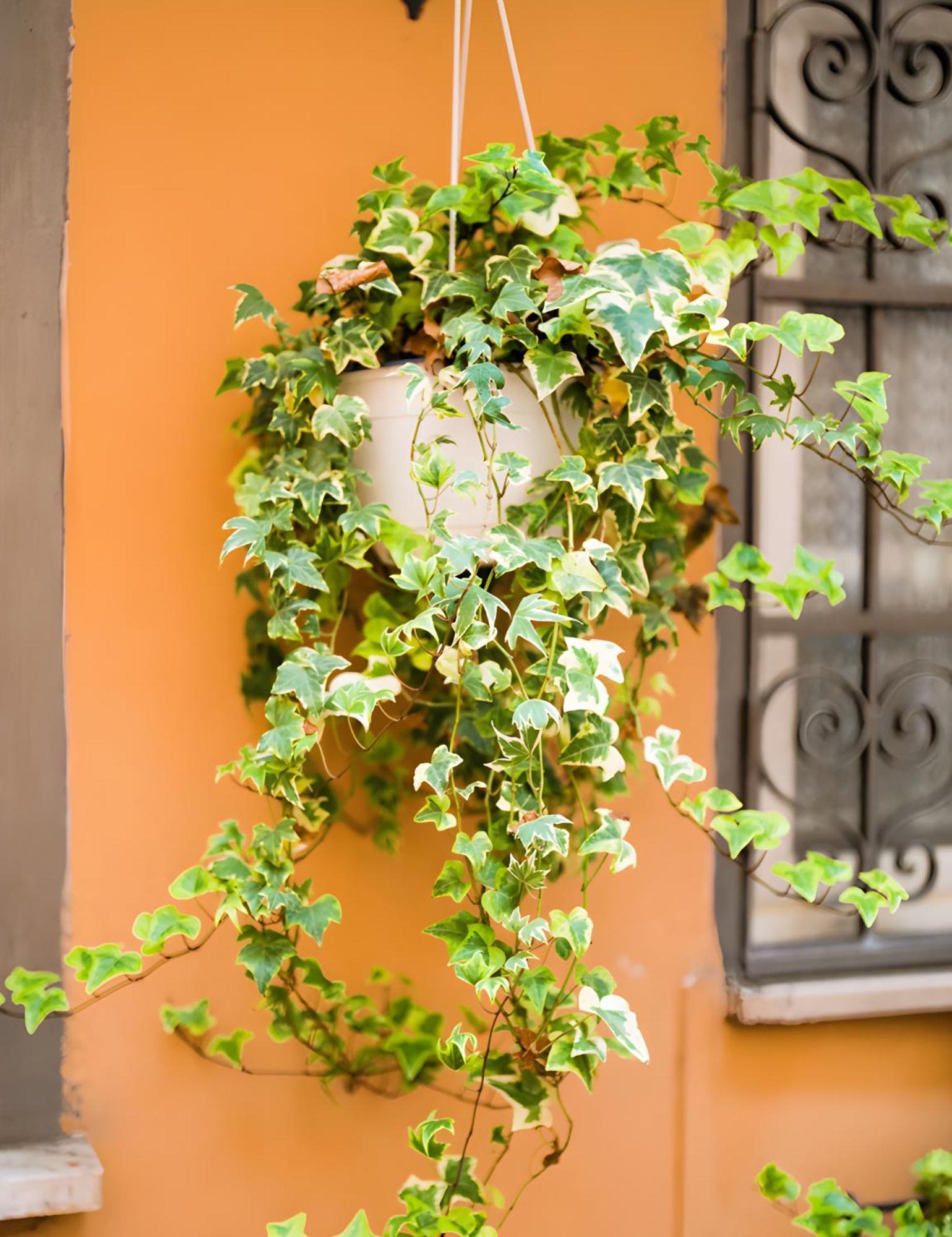 The Best Nest Roma Esterno foto